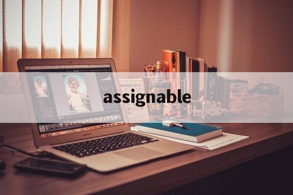 assignable(ASSIGNABLEJACK音频)