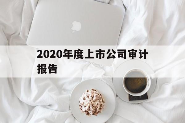 2020年度上市公司审计报告(2020年度上市公司审计报告怎么写)