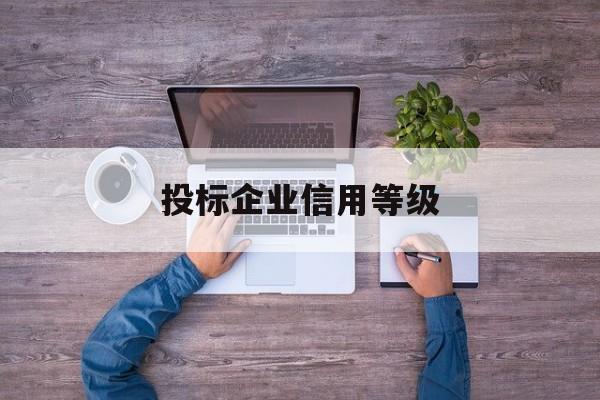 投标企业信用等级(投标企业信用等级怎么查)