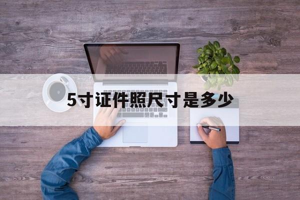 5寸证件照尺寸是多少(5寸证件照是做什么证件用的)