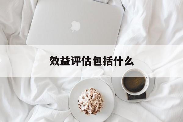 效益评估包括什么(效益评估包括什么)