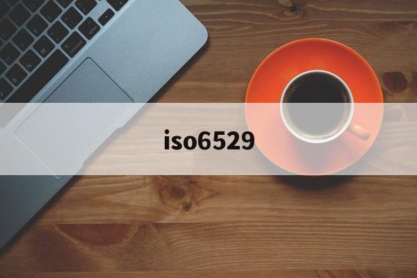 iso6529(ISO65292013)