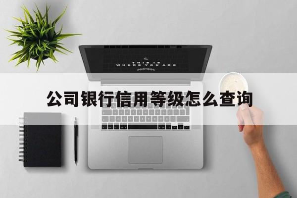 公司银行信用等级怎么查询(企业信用等级查询平台)