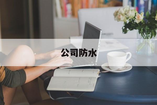 公司防水(公司防水资质)