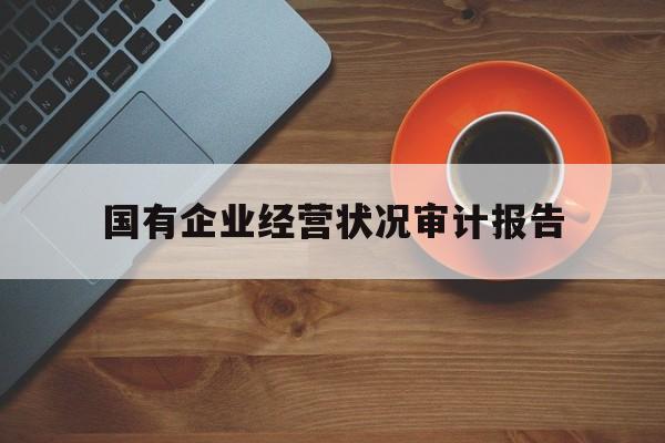 国有企业经营状况审计报告(国有企业资产负债损益审计报告)