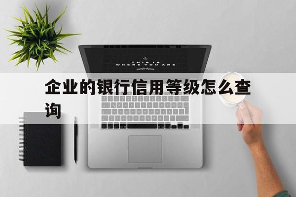 企业的银行信用等级怎么查询(企业银行信用等级怎么查询支付宝能查吗)