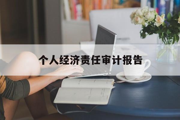 个人经济责任审计报告(2020年经济责任审计报告)