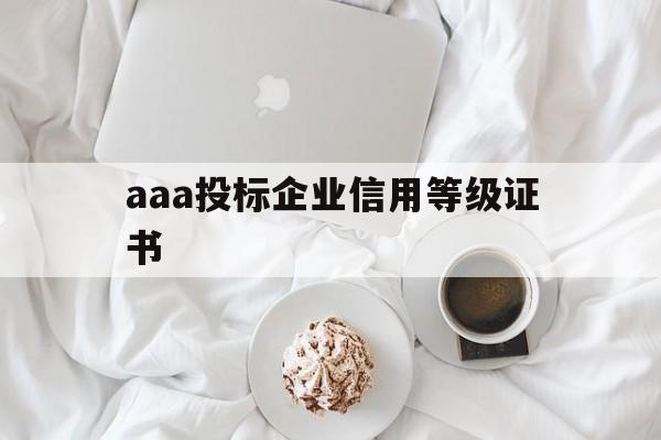 aaa投标企业信用等级证书(中国投标企业信用等级证书)